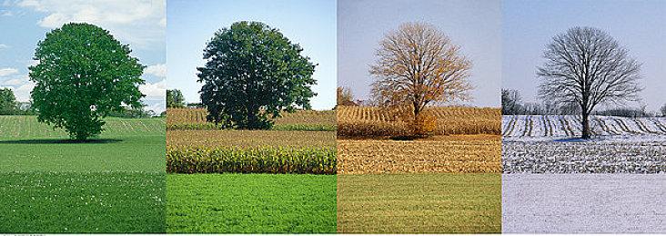 网易在美国德州奥斯汀成立工作室 开发在线多人游戏